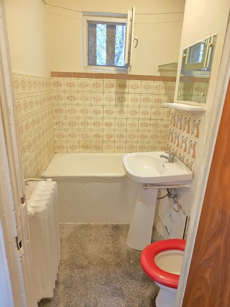 Lacul Tei, Teiul Doamnei, Colentina,