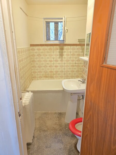 Lacul Tei, Teiul Doamnei, Colentina,