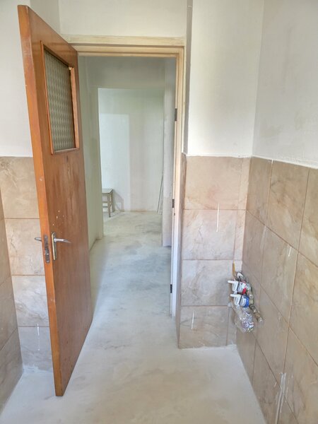 Lacul Tei, Teiul Doamnei, Colentina,