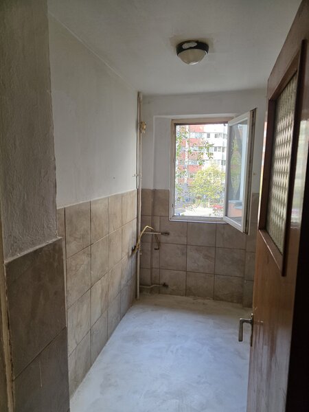 Lacul Tei, Teiul Doamnei, Colentina,