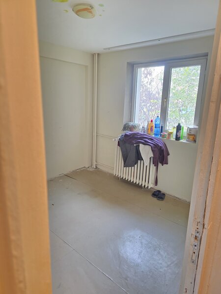 Lacul Tei, Teiul Doamnei, Colentina,