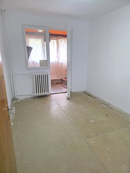 Lacul Tei, Teiul Doamnei, Colentina,