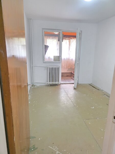 Lacul Tei, Teiul Doamnei, Colentina,