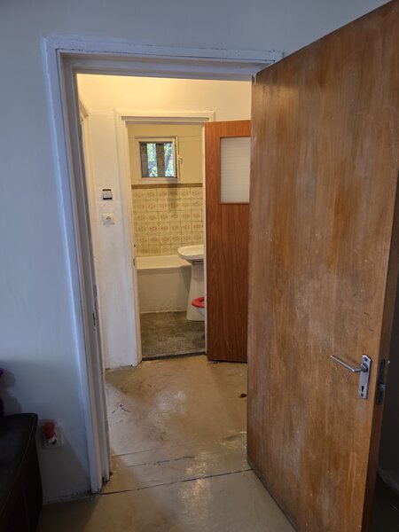 Lacul Tei, Teiul Doamnei, Colentina,